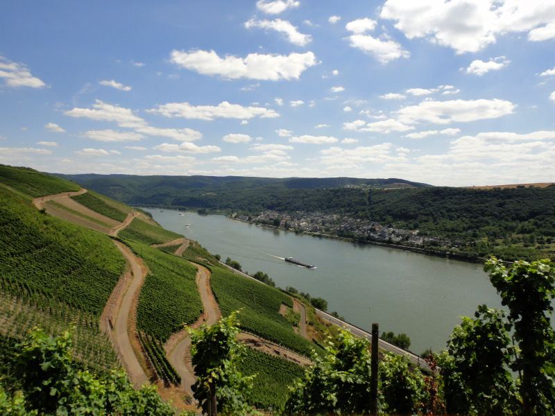 ドイツ ボッパルト市 Freundeskreis Ome Boppard